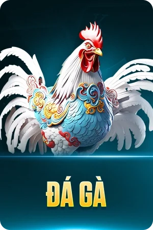 Đá gà say88