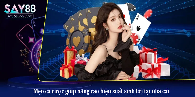 Mẹo cá cược giúp nâng cao hiệu suất sinh lời tại nhà cái